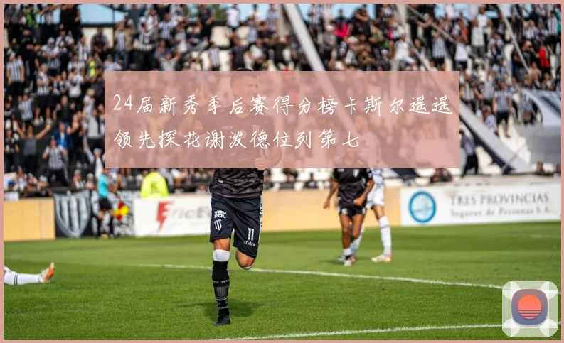 24届新秀季后赛得分榜卡斯尔遥遥领先探花谢泼德位列第七