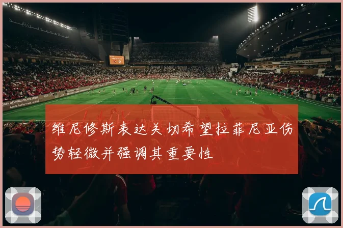 维尼修斯表达关切希望拉菲尼亚伤势轻微并强调其重要性