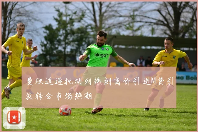 曼联追逐托纳利热刺高价引进M费引发转会市场热潮