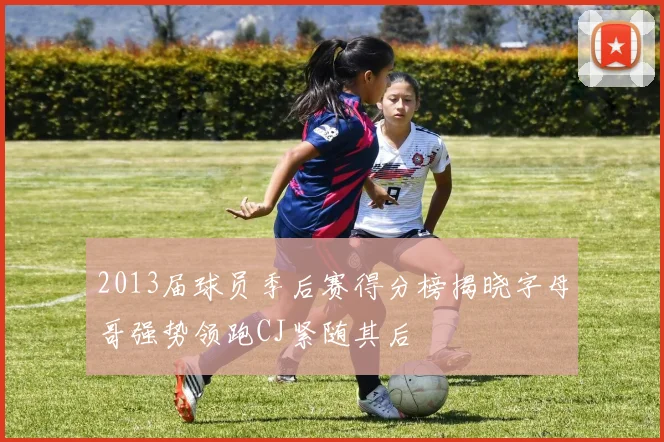 2013届球员季后赛得分榜揭晓字母哥强势领跑CJ紧随其后